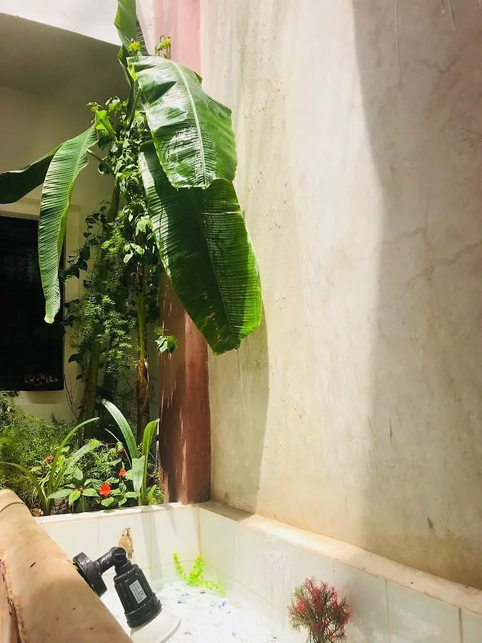 Riad Paradise مراكش 3*,  المغرب